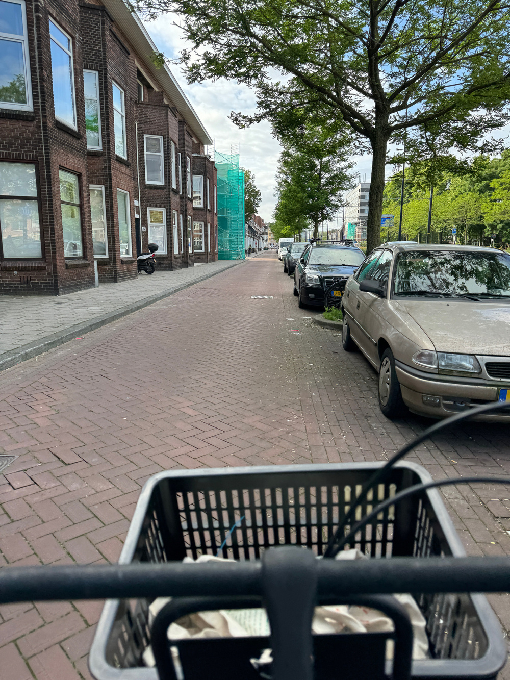 Auto-generated description: A quiet street is lined with parked cars and trees, with the view taken from the front of a bicycle basket.