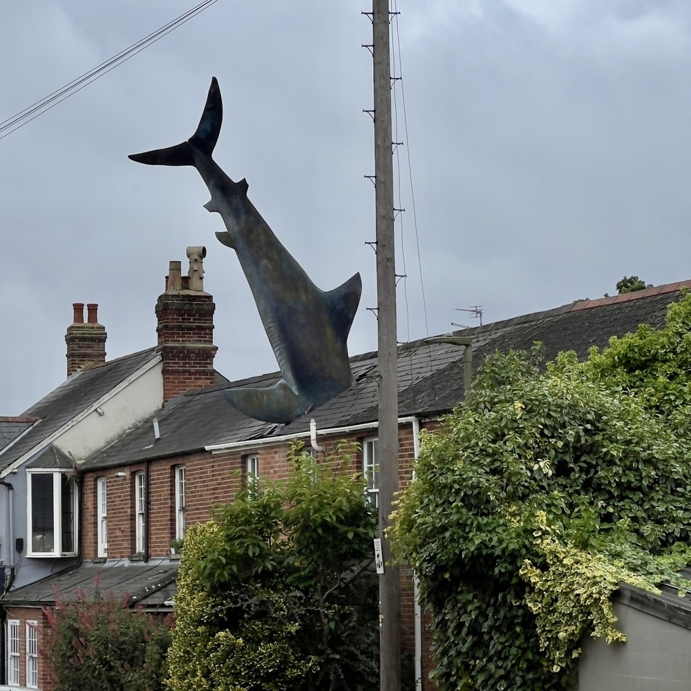 A large shark sculpture appears to be embedded headfirst into the roof of a residential building.
