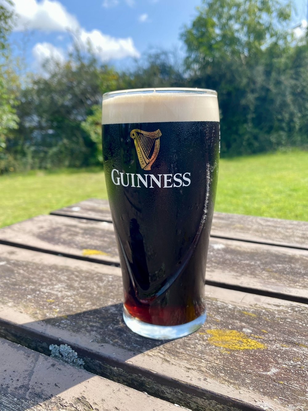 A pint of Guinness beer on a weathered wooden picnic table outdoors, with a backdrop of green foliage and a partly cloudy sky.