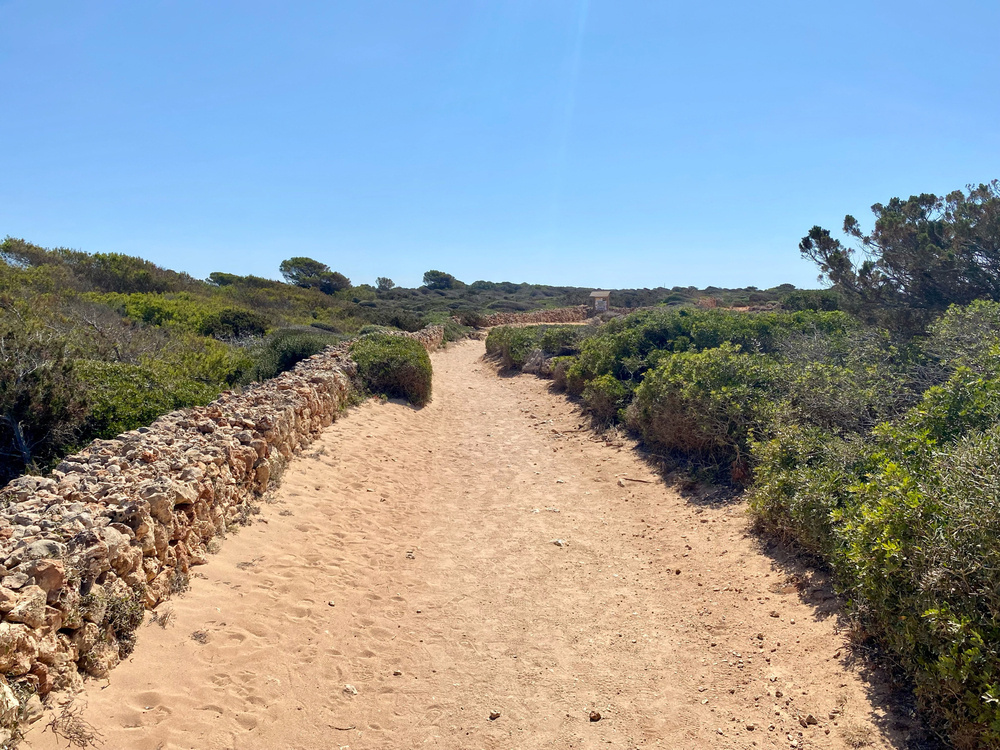 A sandy, narrow path flanked by low stone walls, surrounded by green shrubs and bushes under a clear blue sky. The path appears to lead towards a distant horizon with minimal vegetation.
