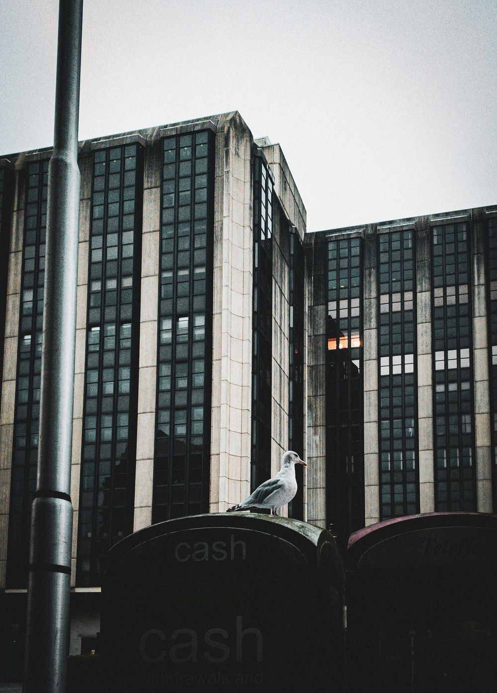 A lone seagull perches on top of a cash machine in front of a tall, modern building.