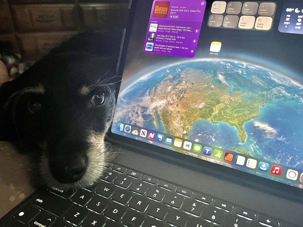 An adorable black dog with beige jaws and prominent eyebrows his his nose rested on a keyboard attached to an iPad. The screen of the iPad is behind the dog's head. On the screen is a wallpaper of the Earth and several widgets.