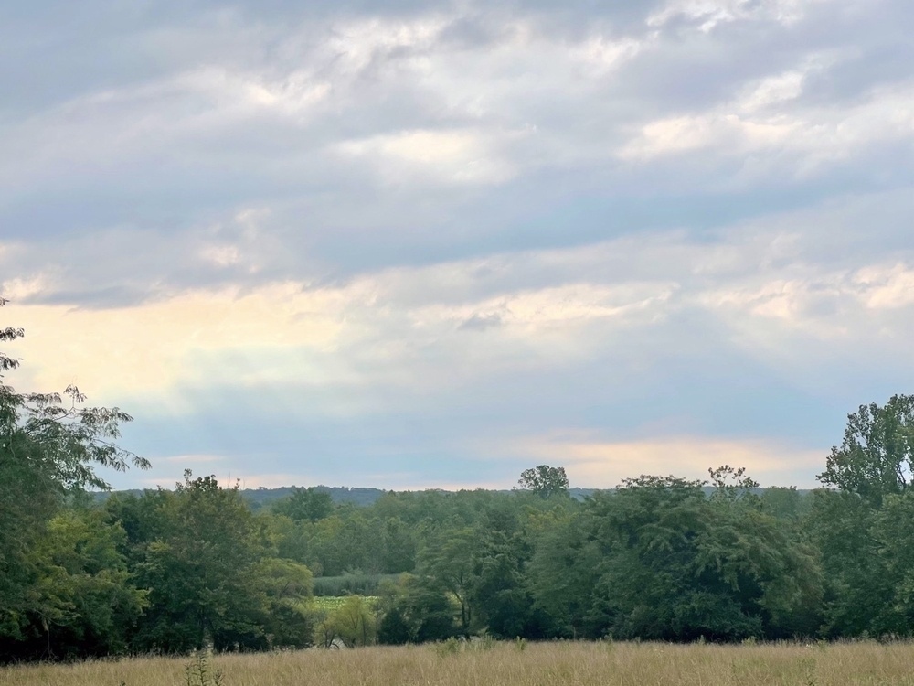 A landscape photo with a foreground of a field of tall grasses. The field turns into a line of trees and shrubs and fades to a background of wooded distant hills set against a mostly cloudy sky illuminated by the morning sun.