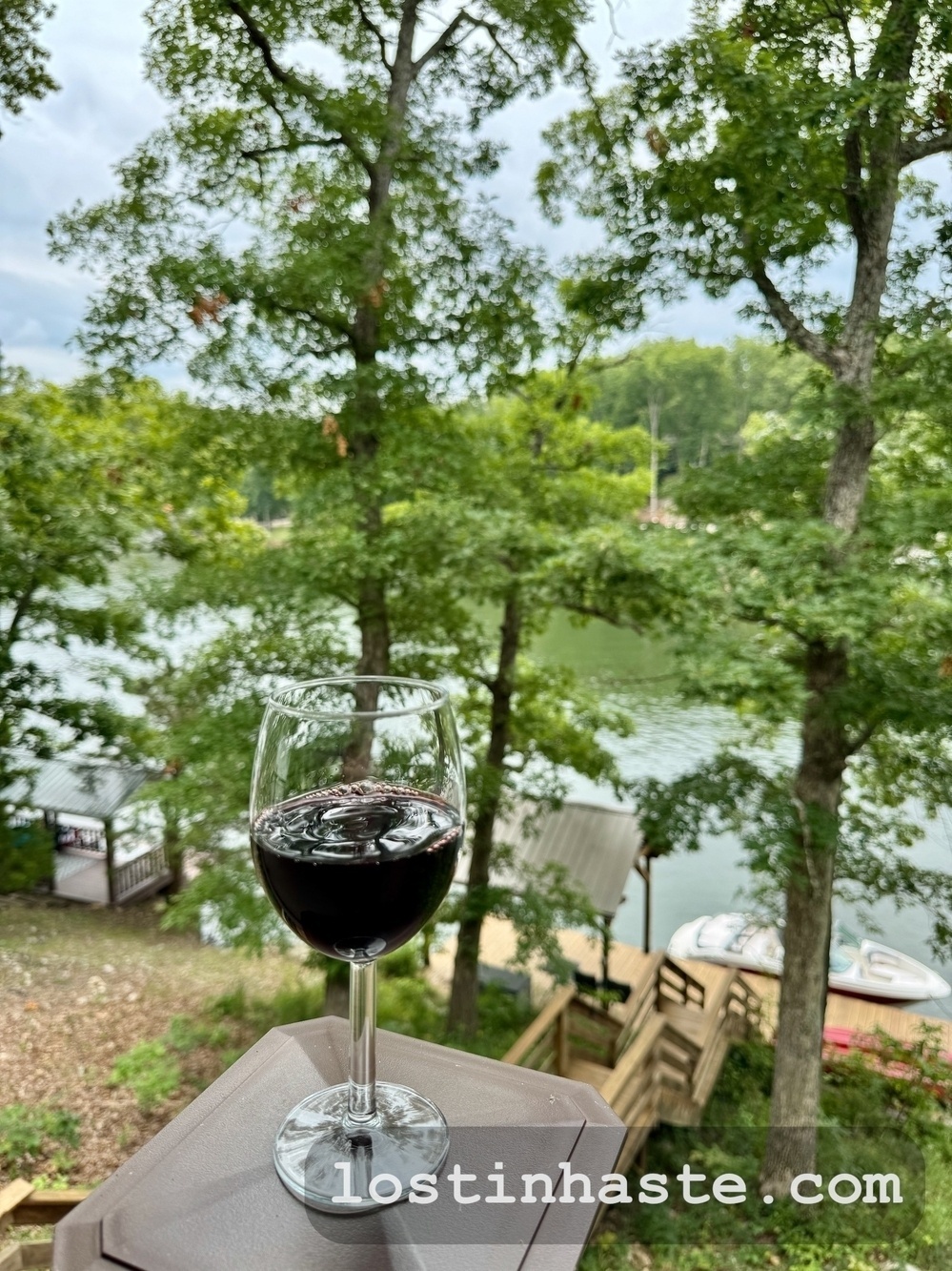 A glass of red wine sits on a wooden surface, with blurred green trees and a lake in the background.