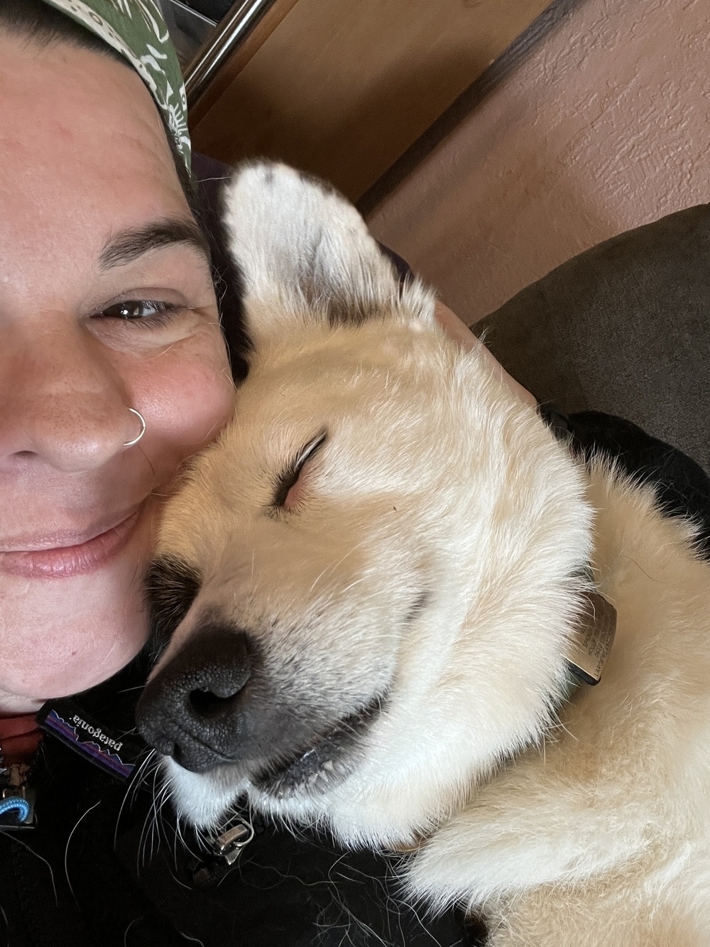 Corgi is now comfortable, asleep, still wet, his face pressed up against his human's cheek. She is smiling. 