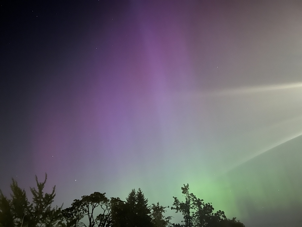 Mostly purple aurora that seems to fade into green at the bottom, treetop silhouettes below. 