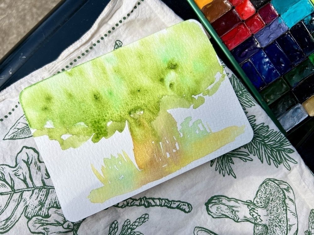 Watercolor postcard of a large green tree, laying on a kerchief with mushrooms and leaves inked on it. 