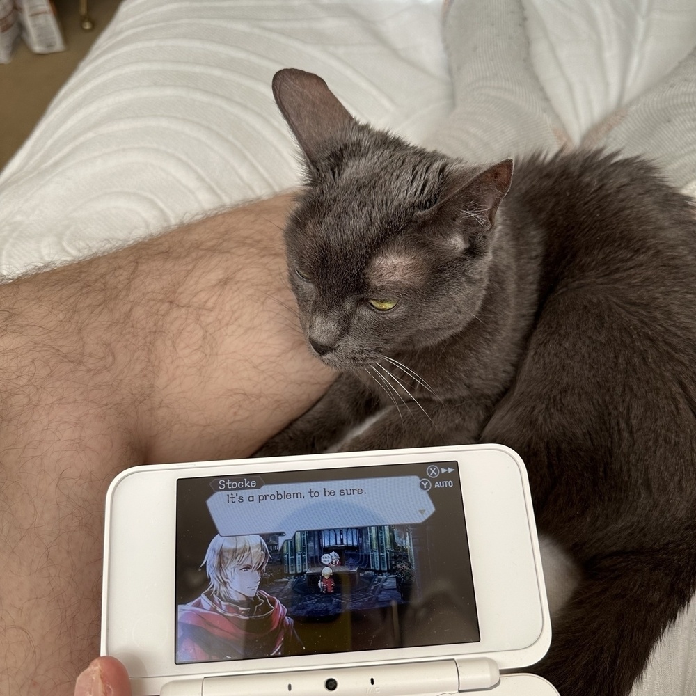 A cat lays on a man’s leg while he plays a video game on the 3DS. A male character on the 3DS screen is saying “It’s a problem, to be sure.”