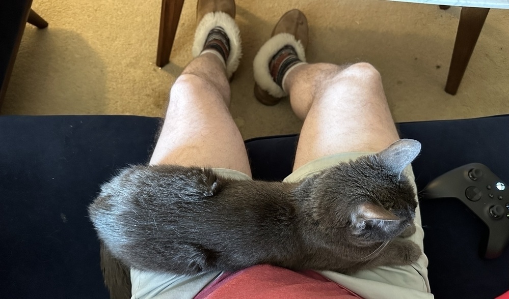 A small grey cat lays across a man’s lap. He’s in shorts and wearing slippers. 