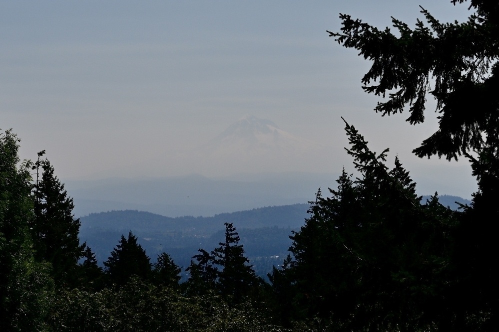 A distant, snow-capped mountain is visible through a haze, framed by silhouetted evergreen trees.