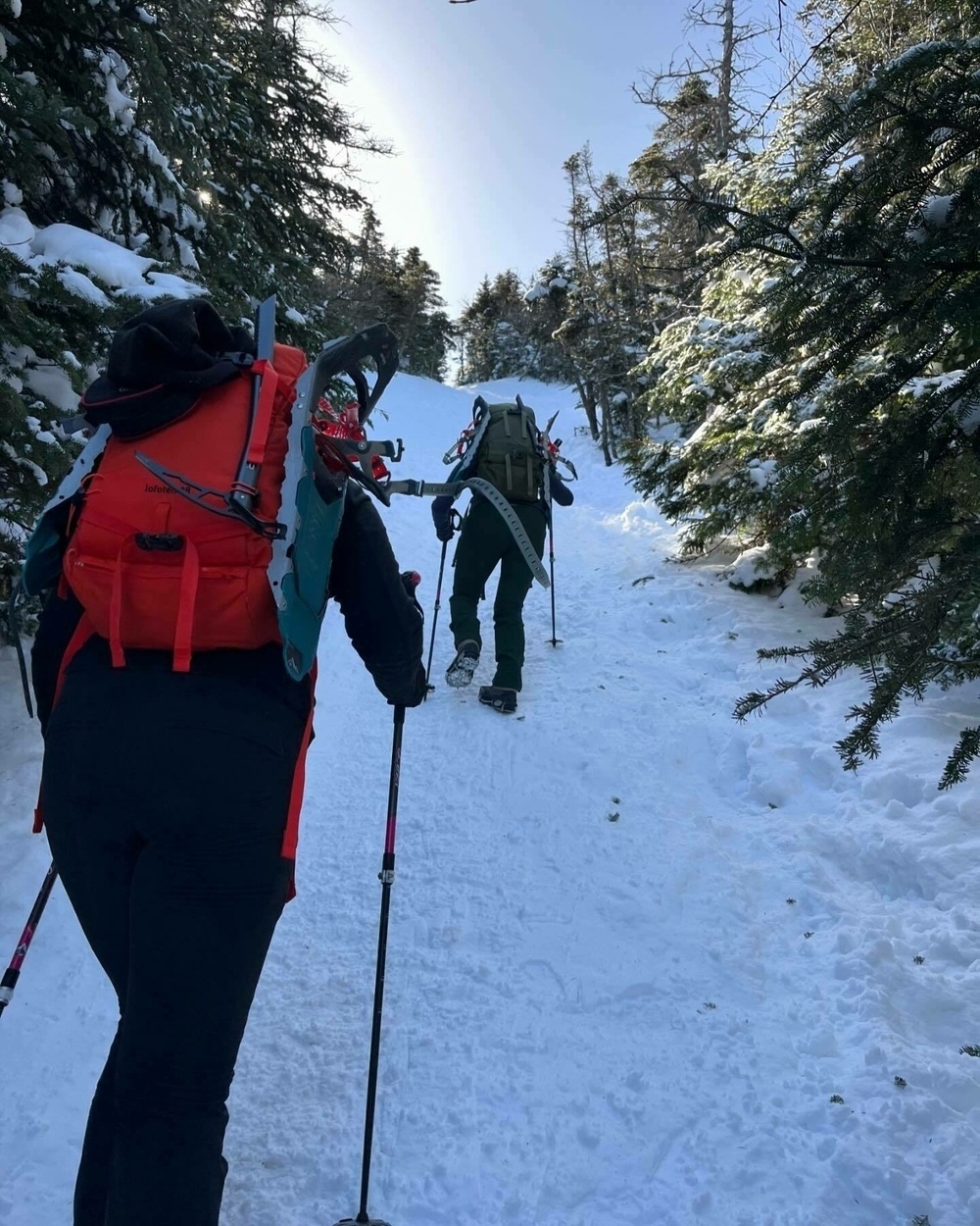 People with backpacks and trekking poles hike on a snowy forest trail. The sunlight filters through the trees, casting soft shadows on the snow.