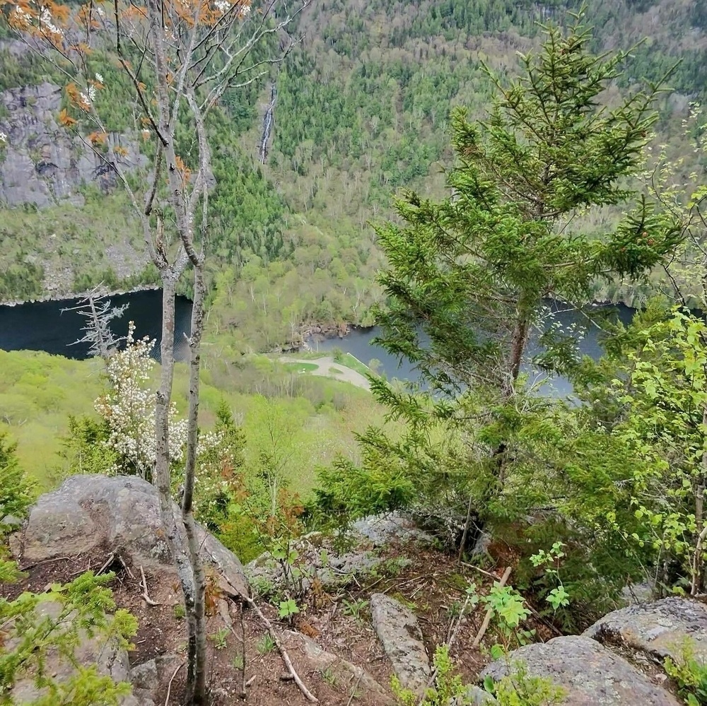 A vantage point atop a rocky hill overlooks a lush, green valley with a river winding through it, framed by steep forested slopes.