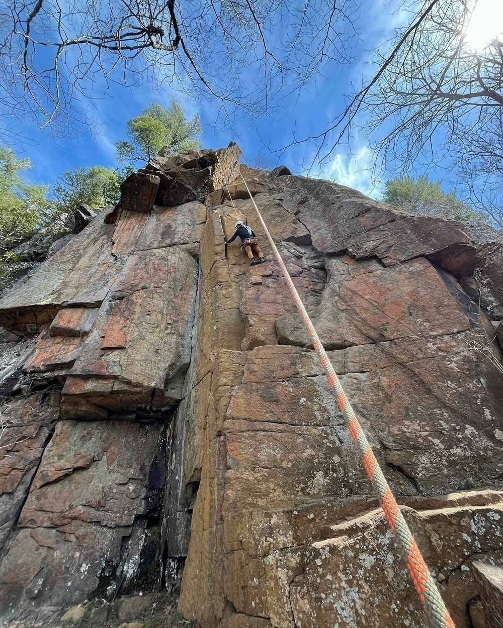 A person rock climbing up a steep, rocky cliff face, with a rope attached for safety, set against a backdrop of a clear blue sky with sparse branches.
