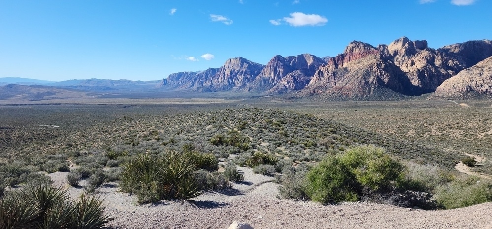 Desert vegetation dominates the foreground with rugged mountains rising in the distance under a clear blue sky.