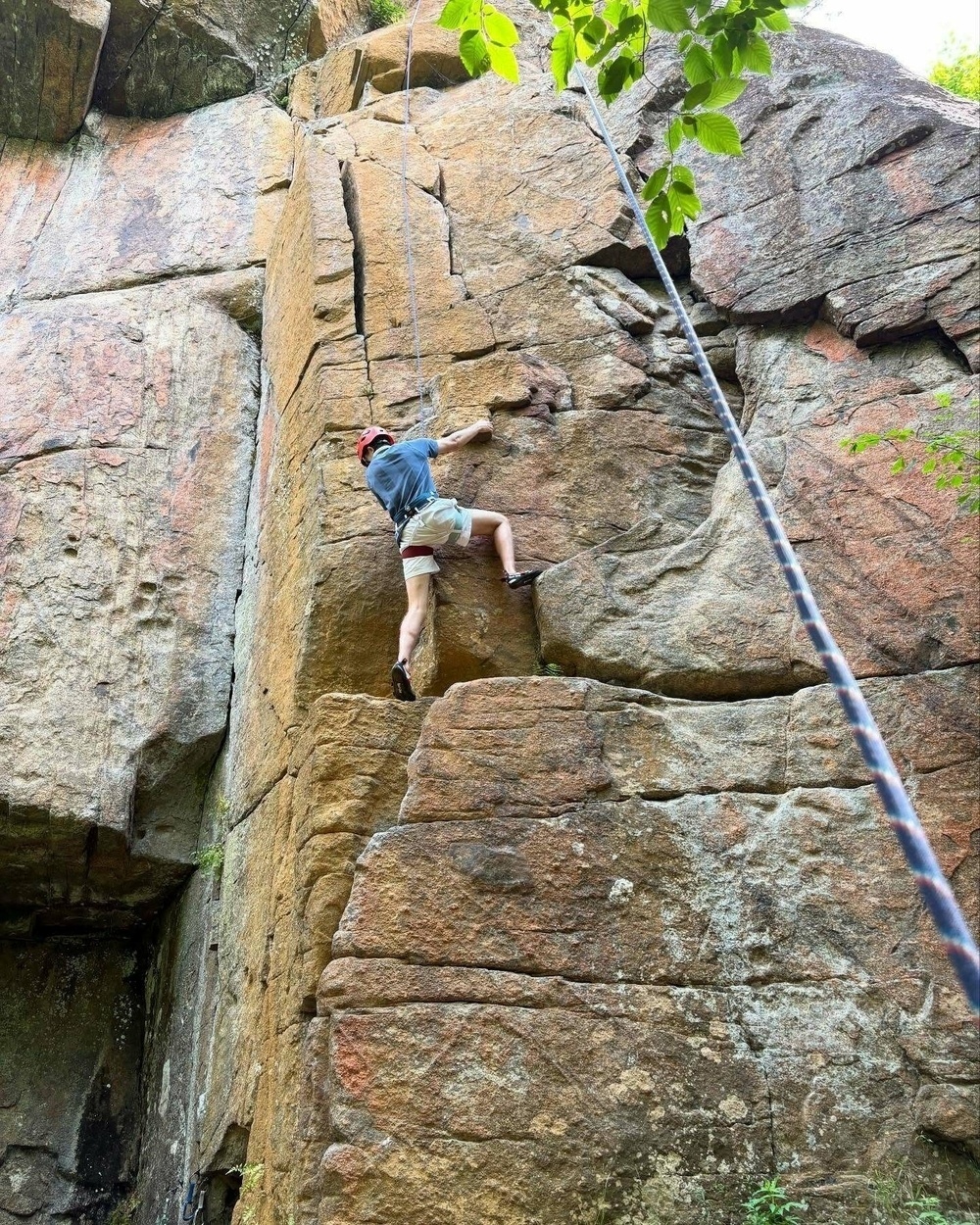 Climber scaling rugged sandstone wall holds onto crevices wearing red helmet and harness amidst rocky terrain with safety rope and green leaves visible at the top.
