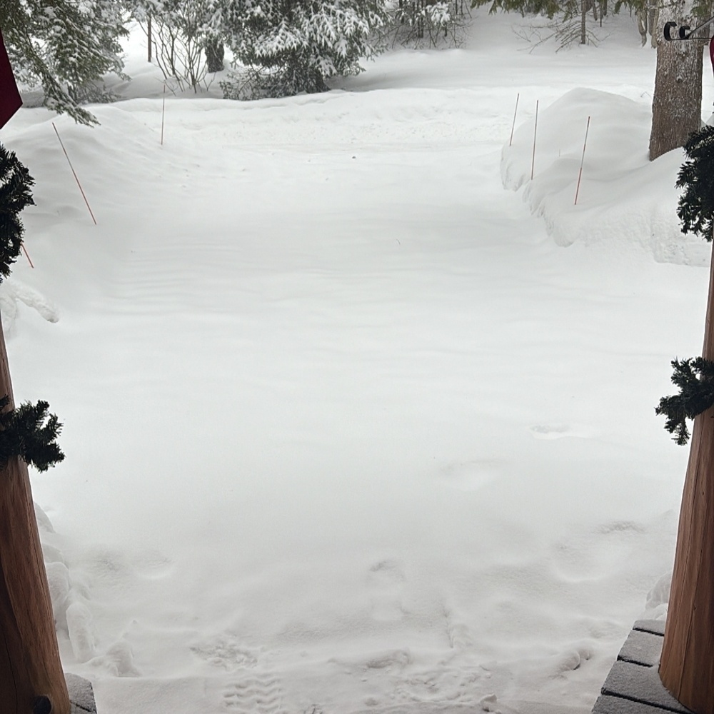 Snow-covered ground stretches from a porch framed by garland-decorated posts into a snowy landscape bordered by trees and marked by thin orange stakes in the background.