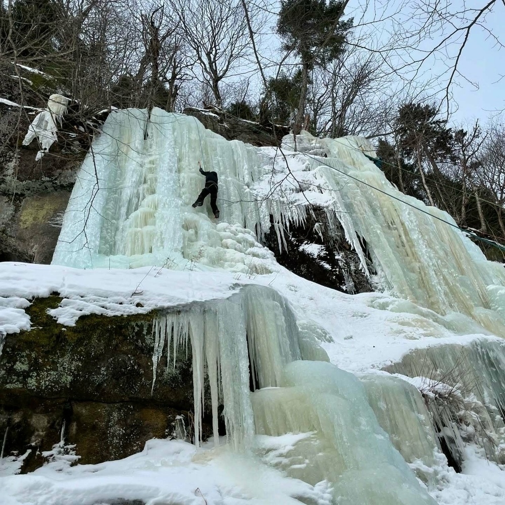 A person climbs a large frozen waterfall with ice axes surrounded by snow and leafless trees in a forested area.
