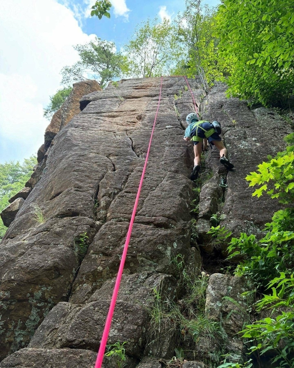 A rock climber in a helmet ascends a vertical rock face using a pink rope surrounded by lush green foliage under a blue sky.