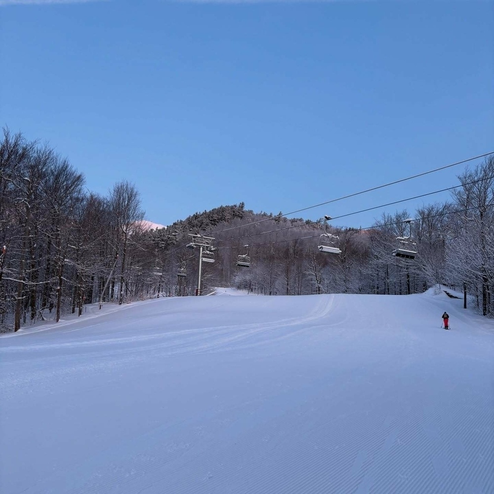 Ski lifts hang stationary above a snowy slope bordered by bare trees while a skier stands near the edge under a clear blue sky.