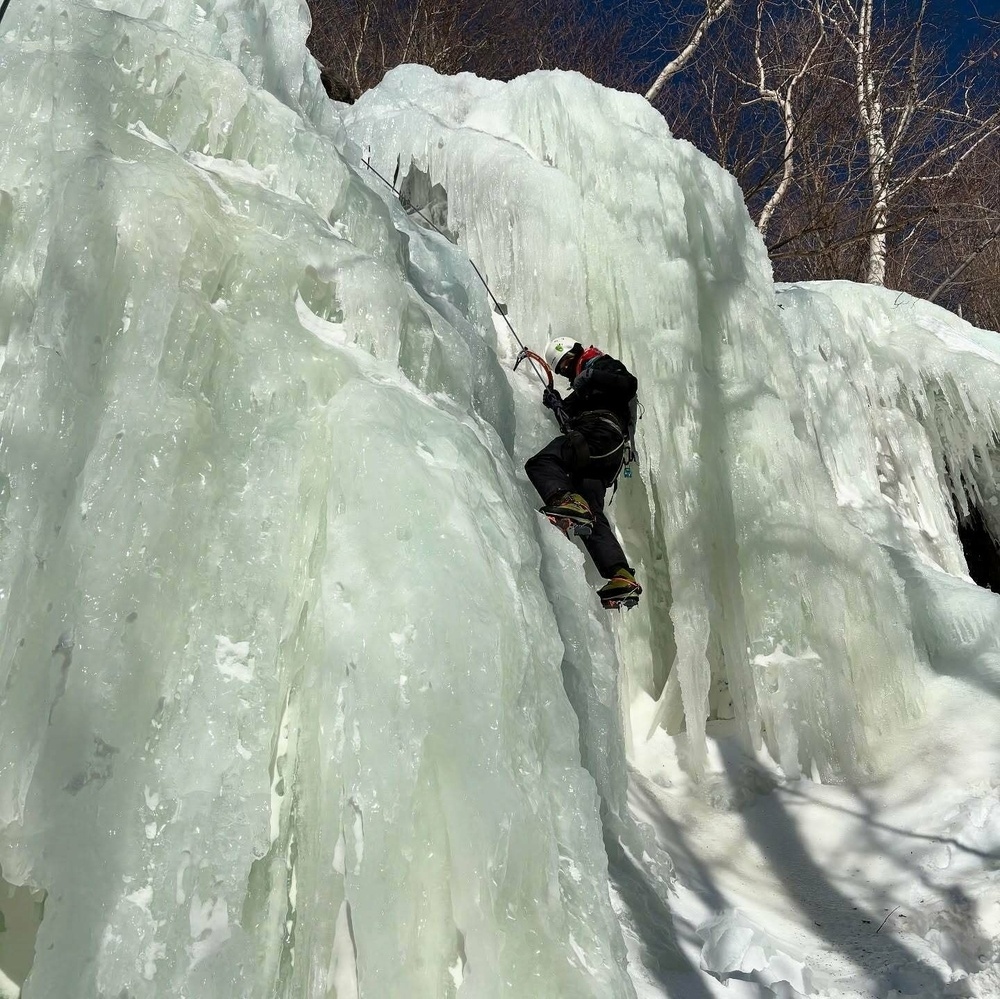 A climber ascends a sheer ice wall using ice tools and crampons surrounded by snow and bare trees under a clear blue sky.