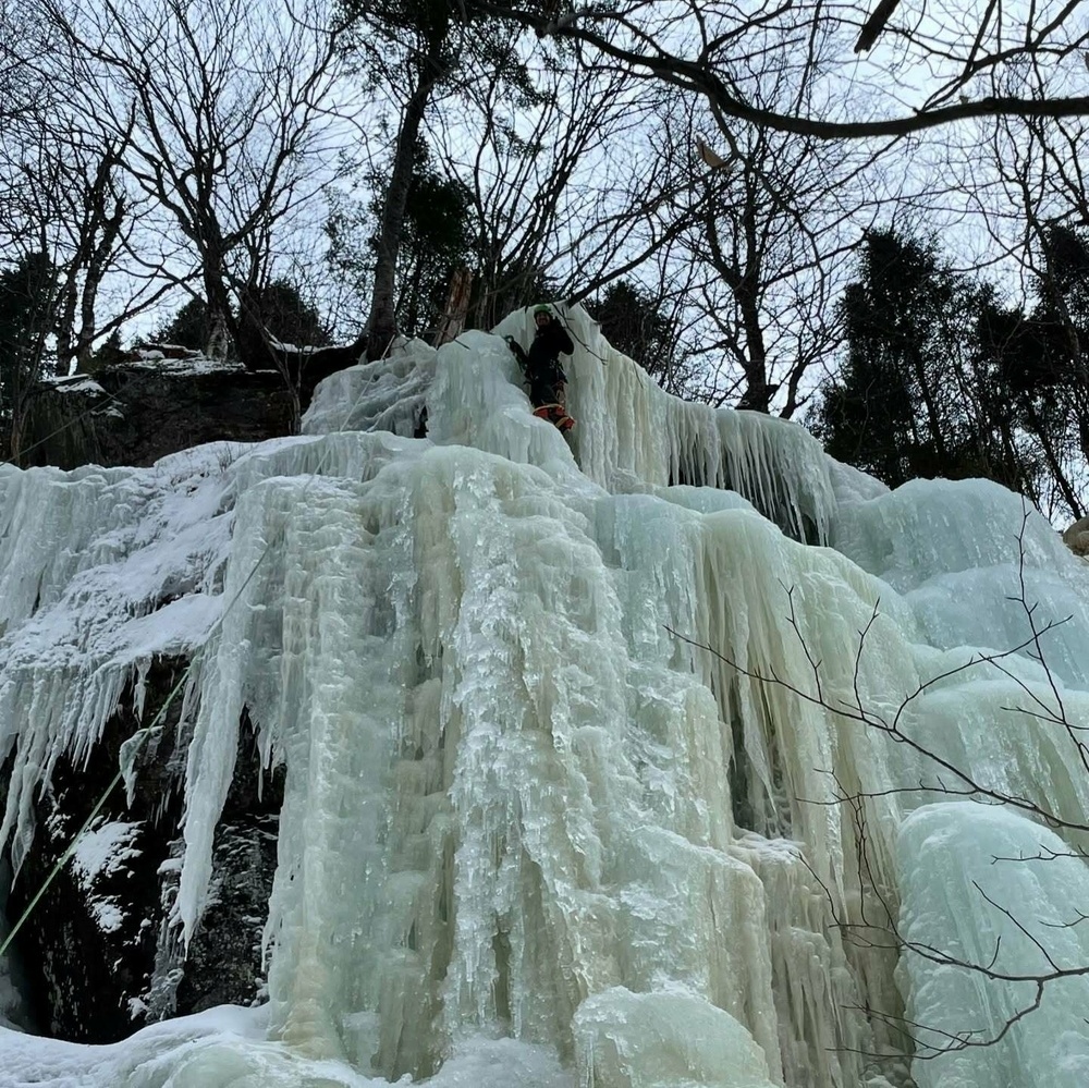 A climber ascends a large frozen waterfall surrounded by bare trees in a wintery forest setting, wearing winter gear and using climbing equipment.