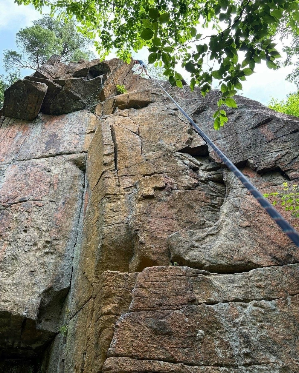 A climber ascends a steep rock face with a rope through a wooded area, surrounded by leafy branches and distant trees against the sky.