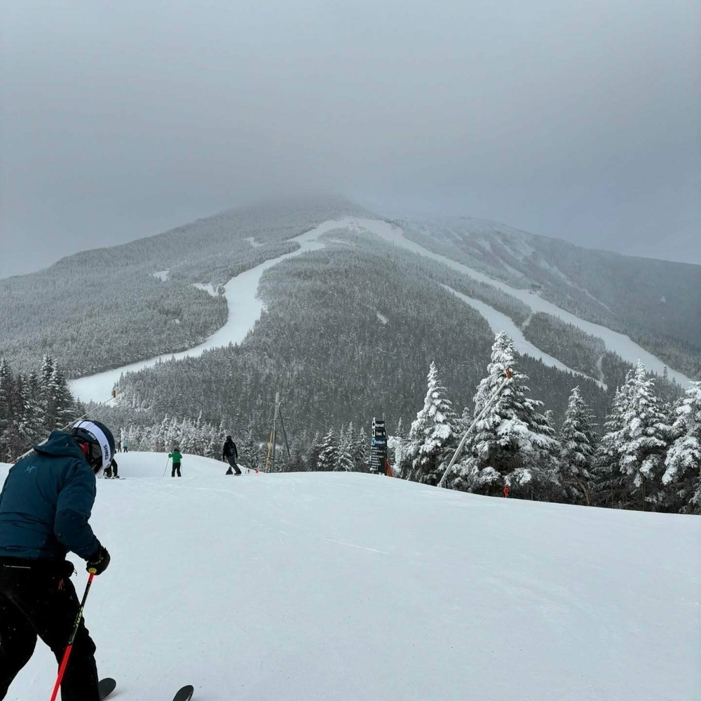 Skiers glide down a snowy slope surrounded by snow-covered trees. In the distance, a misty mountain with winding ski trails creates a serene winter landscape.