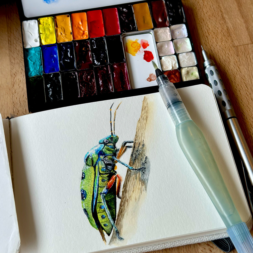 A watercolor sketch of a vibrant green and blue insect, possibly a beetle, climbing a piece of wood, drawn on an open notebook. Nearby are a watercolor palette with various colors, a Pentel Aquash water brush, and a Pentel Graphgear 1000 mechanical pencil.