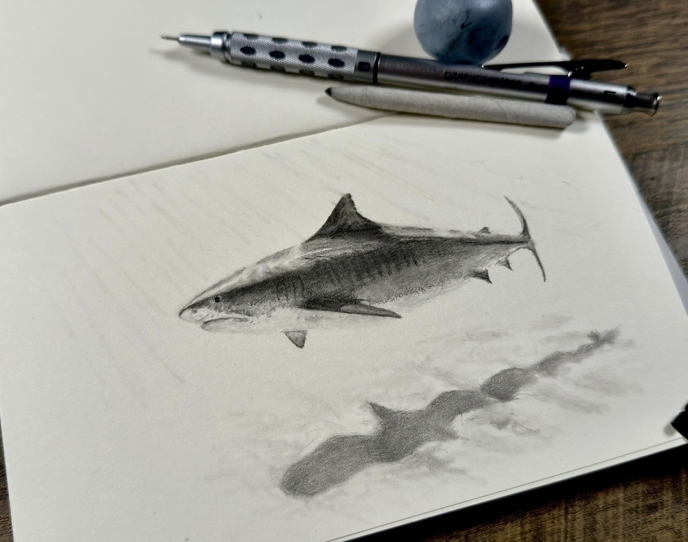 Pencil drawing of a shark with drawing tools on a sketchbook on a wooden surface.