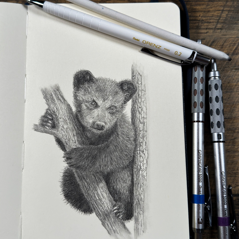 A detailed pencil drawing of a bear cub clinging to a tree trunk, surrounded by drawing tools.
