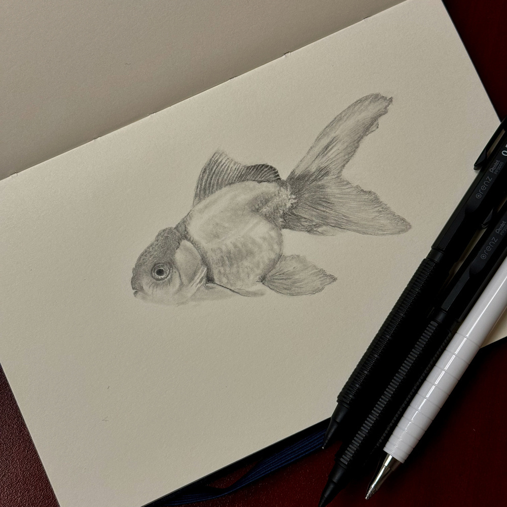A detailed graphite drawing of a goldfish on sketchbook paper, created with Pentel Canada Orenz Nero pencils in sizes .2, .3, and .5. The sketch captures the delicate texture of the fish's scales and fins.