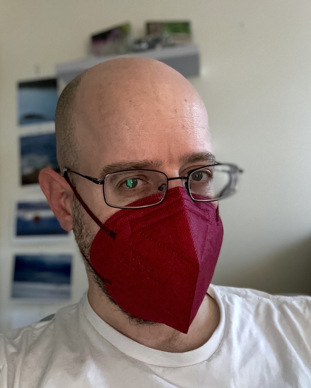 Auto-generated description: A person wearing glasses and a red face mask is seen against a blurred background with photos on a wall.