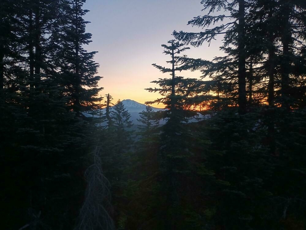 A mountain and a glowing horizon seen through dark fir trees.