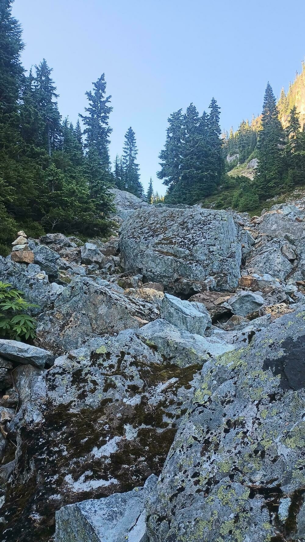 Big granite boulders fill this drainage making a series of irregular stairs. Stacks of small rocks called cairns mark the way.