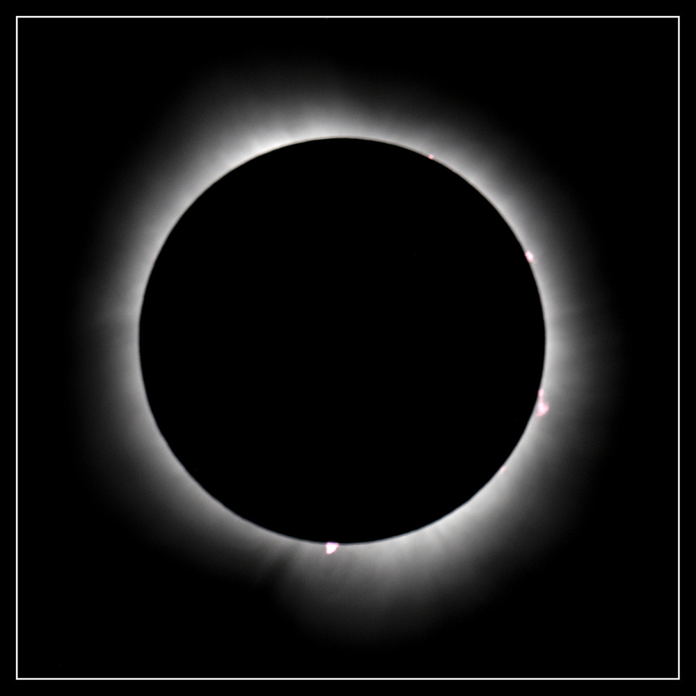 A photo of the sun, eclipsed by the moon, with just the utside corona showing.