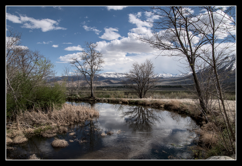 Water ripples from a creek, smoothing out into a small pond with a reflective surface.  Fresh green leaves cover a shrub on the left, while taller trees on the right bank are still bare.  Snow covered mountains surround the valley behind.