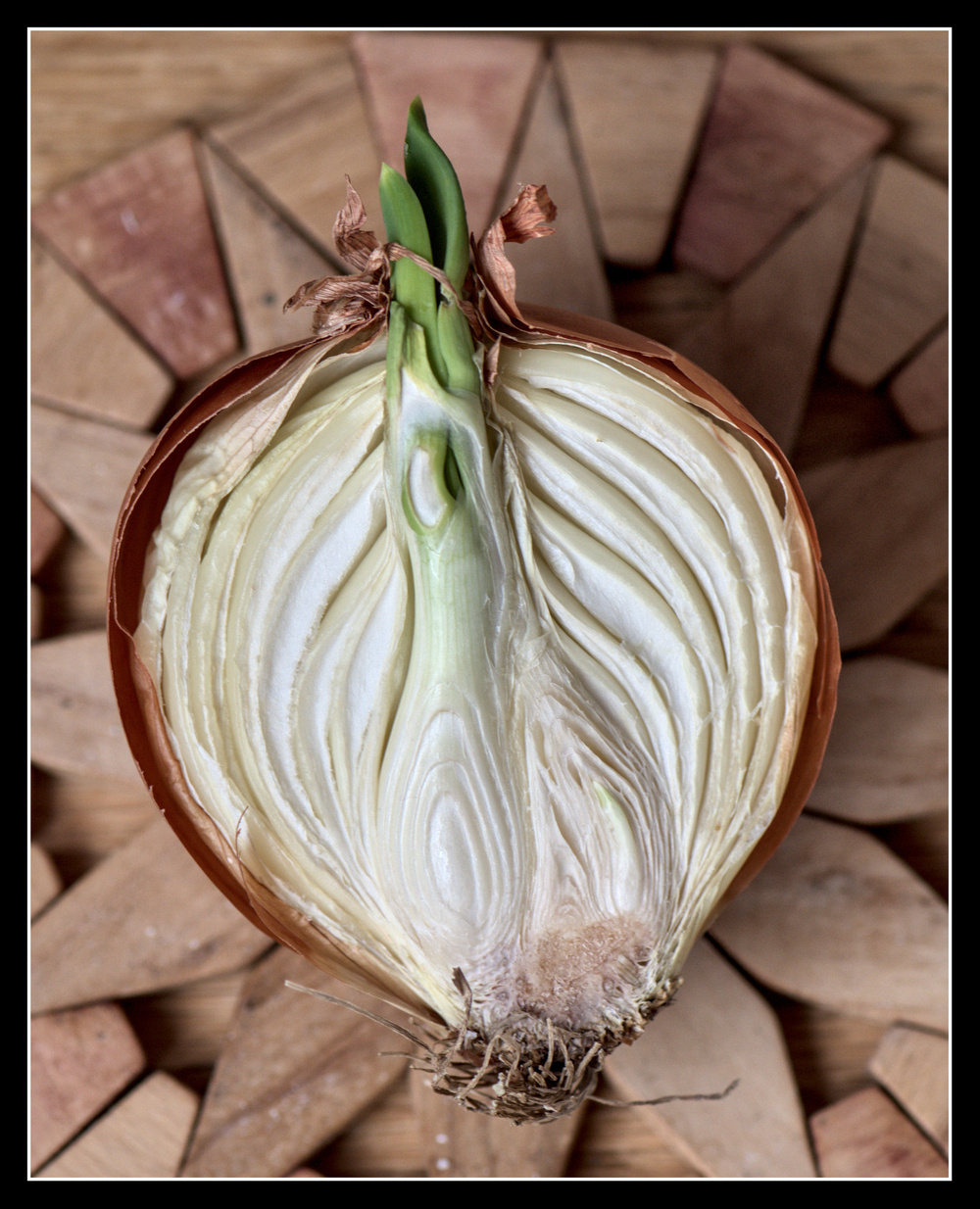 Closeup of half an onion.