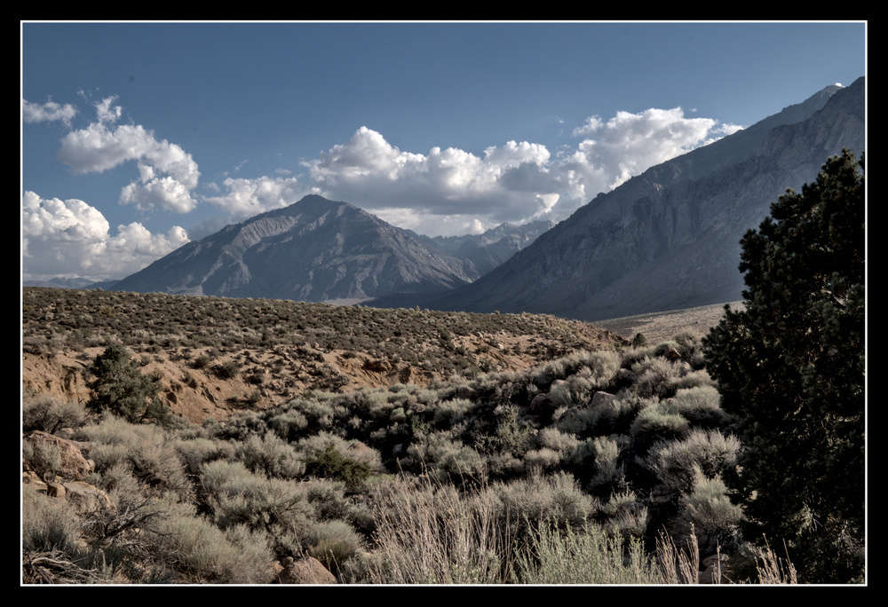 High desert scrub on rolling hills with jagged mountains in the background.