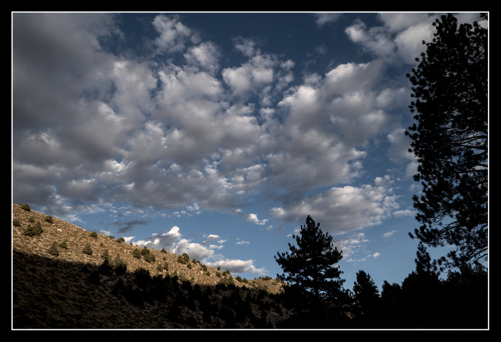 Puffy white scattered clouds fill the sky above a high canyon wall.