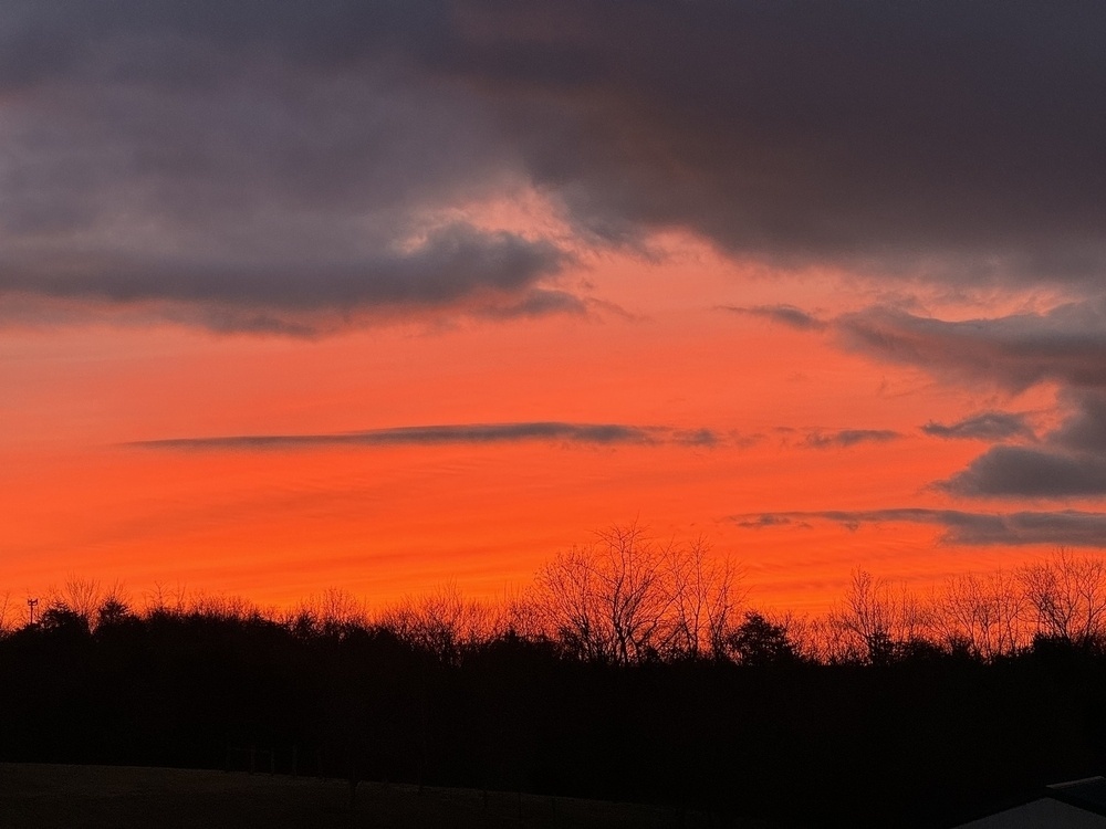 Fiery orange hues streak above a silhouette of the Forrest. Above are fluffy purple clouds. 