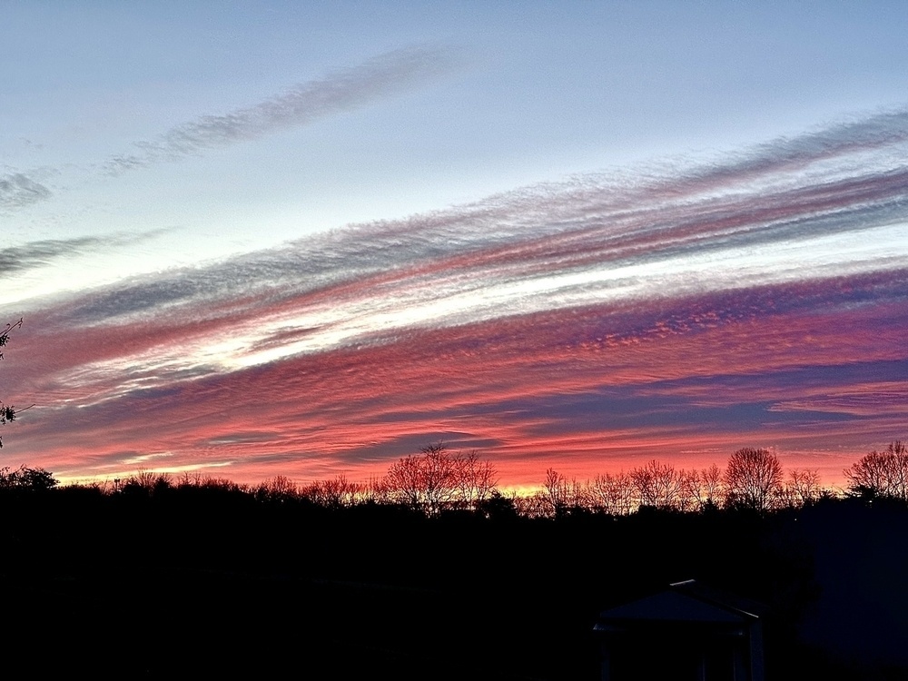 The lower third is a silhouette of trees. The upper third is a pale blue sky. In between are streaks of pinks and purple clouds from the lower left to upper right at sunrise. 