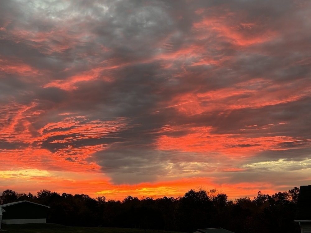 At sunrise. Vibrant shades of pink form a V pattern pointing to an orange horizon above the silhouette of trees. 