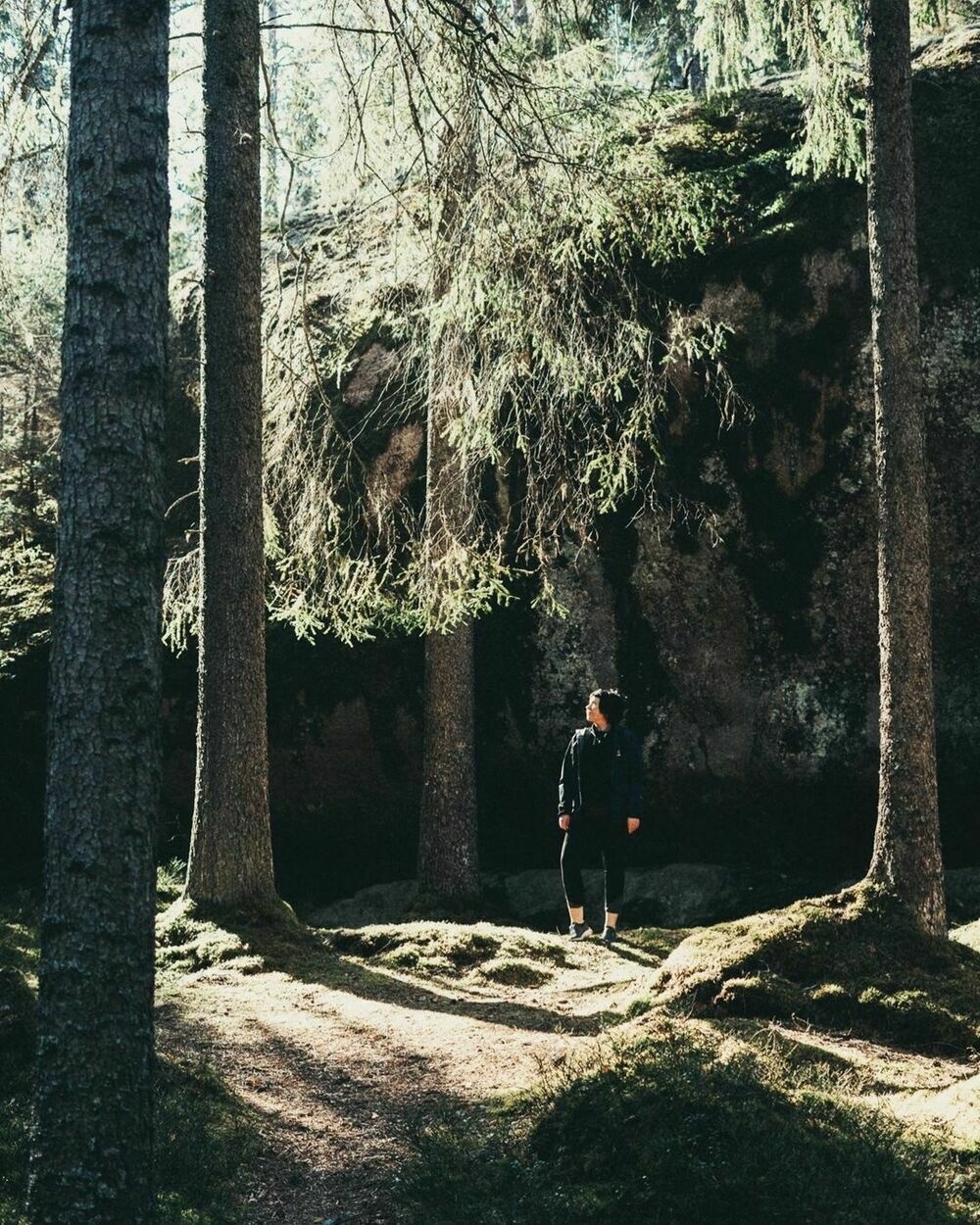 Standing in a glade in front of a big rock, a pretty girl looks up at the sun beams filtered through the tree tops.