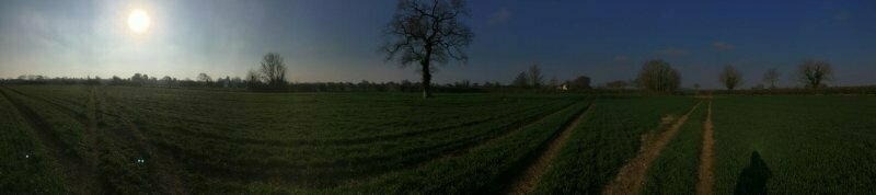 Societal distancing – Panorama of fields