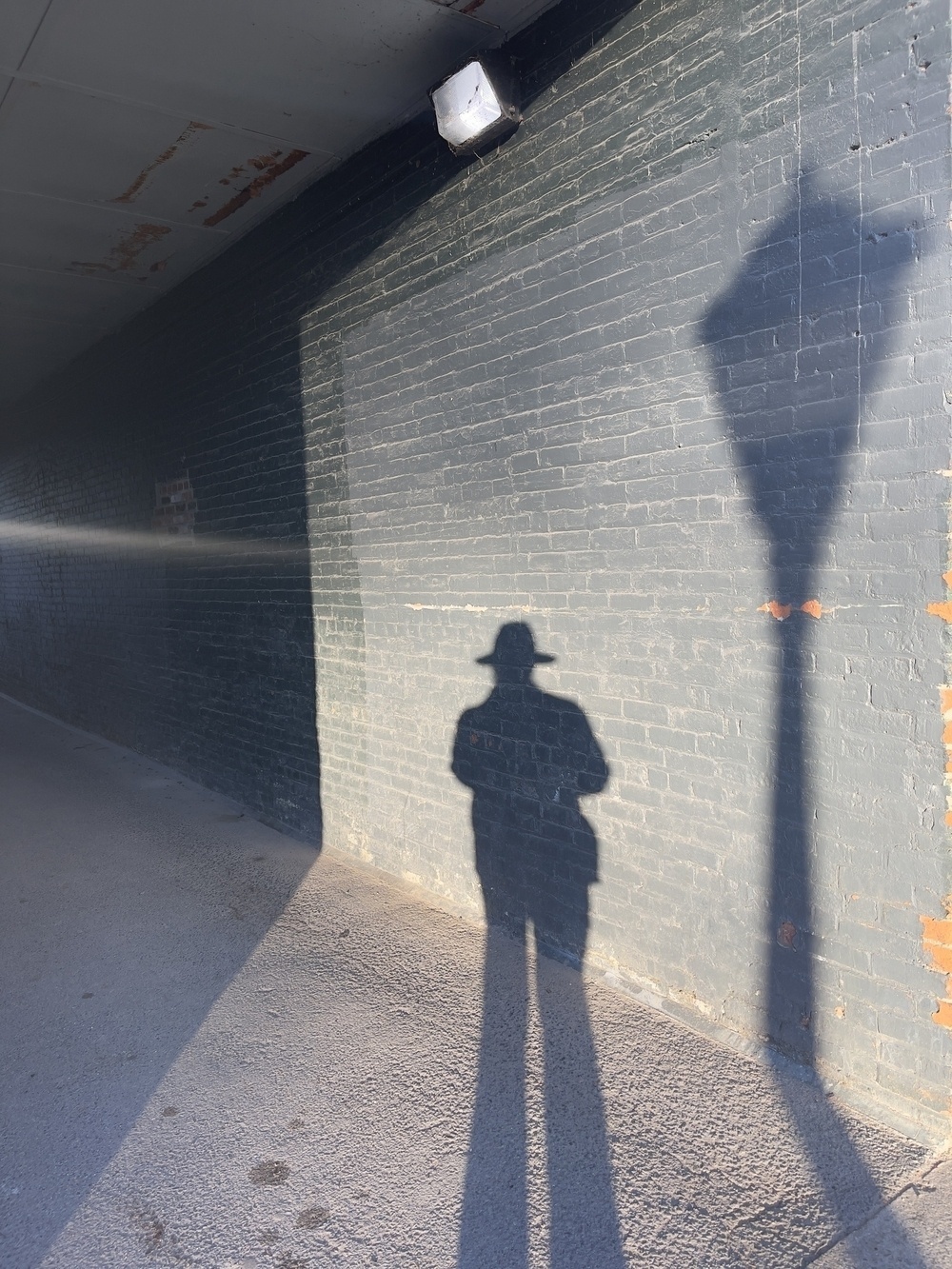 Shadow selfie with street lamp on a brick wall.