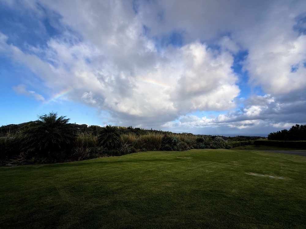 A landscape features a grassy area bordered by shrubs under a sky filled with clouds and a faint rainbow.