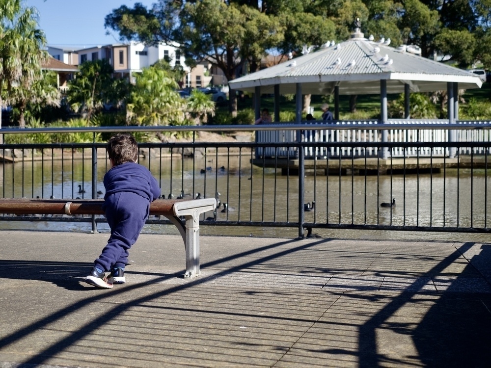 Looking at a young boy from behind, as he looks past a railing around a pond with a walkway in the centre, which has seagulls on its roof