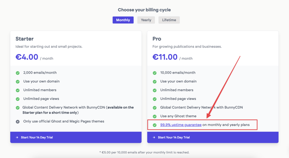 Screenshot of Magic Pages's pricing table, featuring a red square around the bullet point labelled 