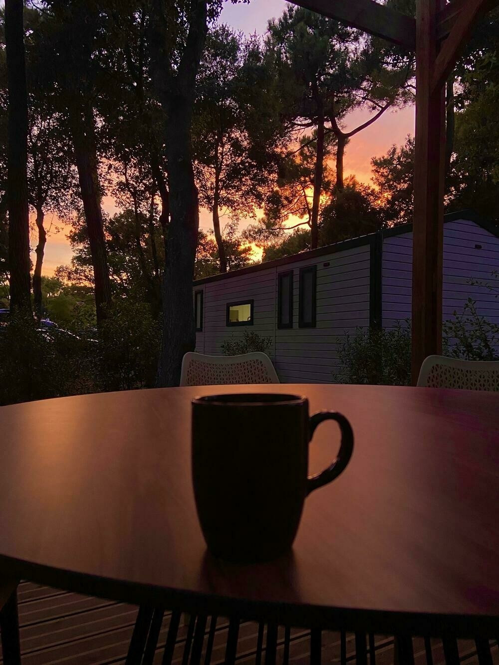 A cup of coffee on a table with pine trees and a sunset in the background 