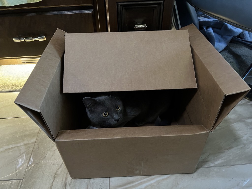 Paladin in a box